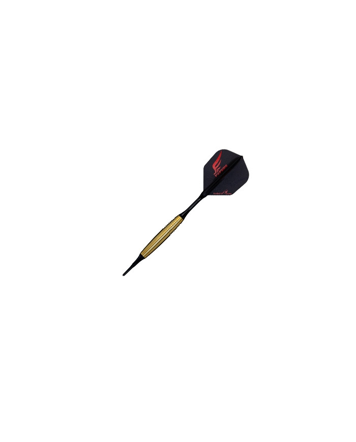 Cosmo Discovery Label Andrew Gilding Darts 24g