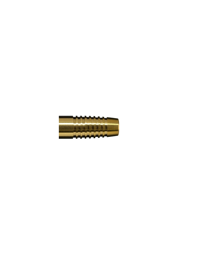 Cosmo Discovery Label Andrew Gilding Darts 24g
