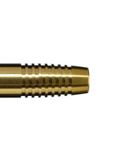 Cosmo Discovery Label Andrew Gilding Darts 24g