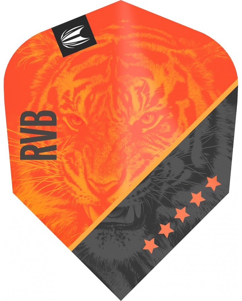 Target Pro Ultra Raymond Van Barneveld G4 Ten X Flights