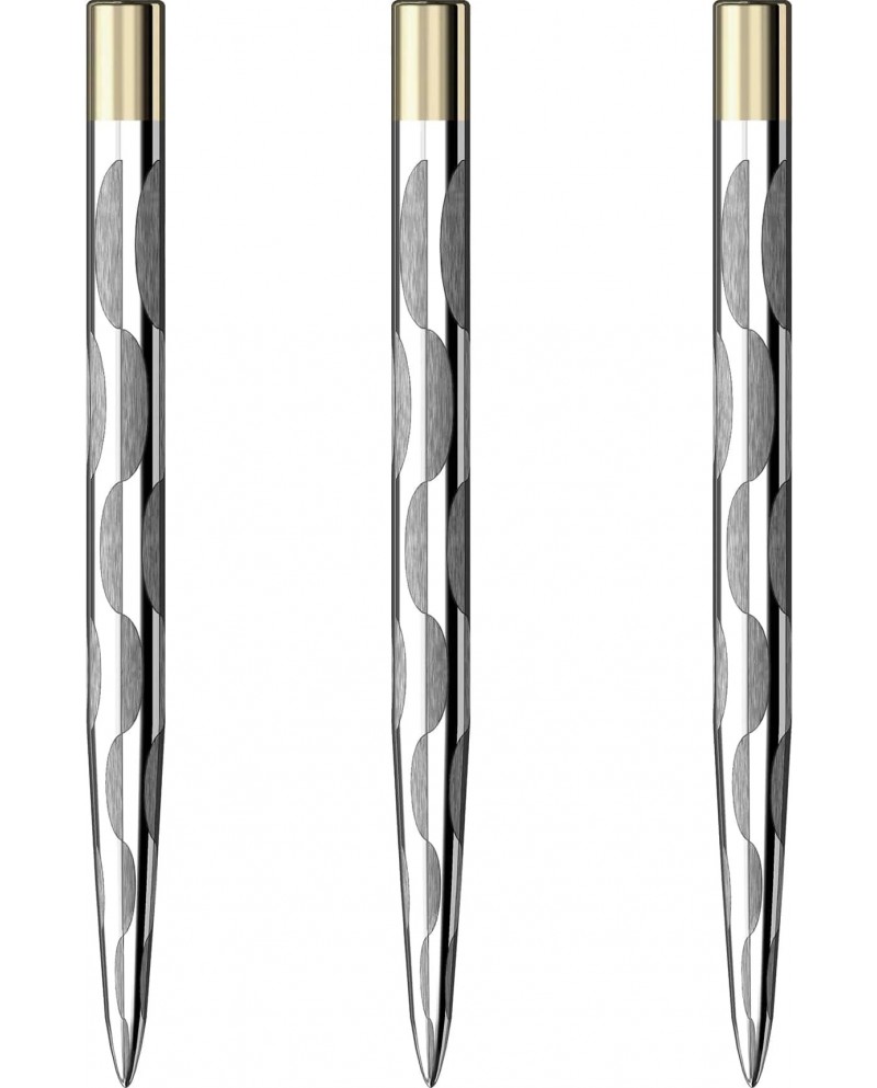 Mission Laser Plus Solid Arc Silver Points