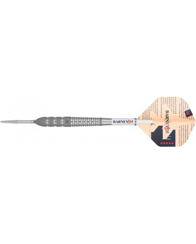 Target Raymond Van Barneveld Barney25 SP Darts
