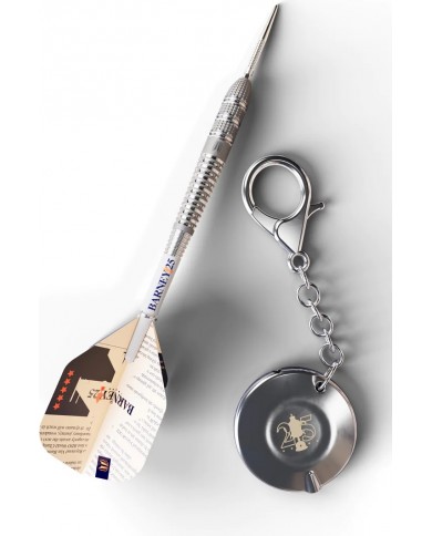 Target Raymond Van Barneveld Barney25 SP Darts