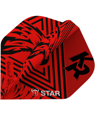 BULLS B-Star Flights Krzysztof Ratajski Scoremaster